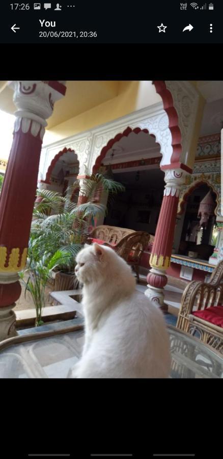 자이푸르 Sureli Haveli 아파트 외부 사진
