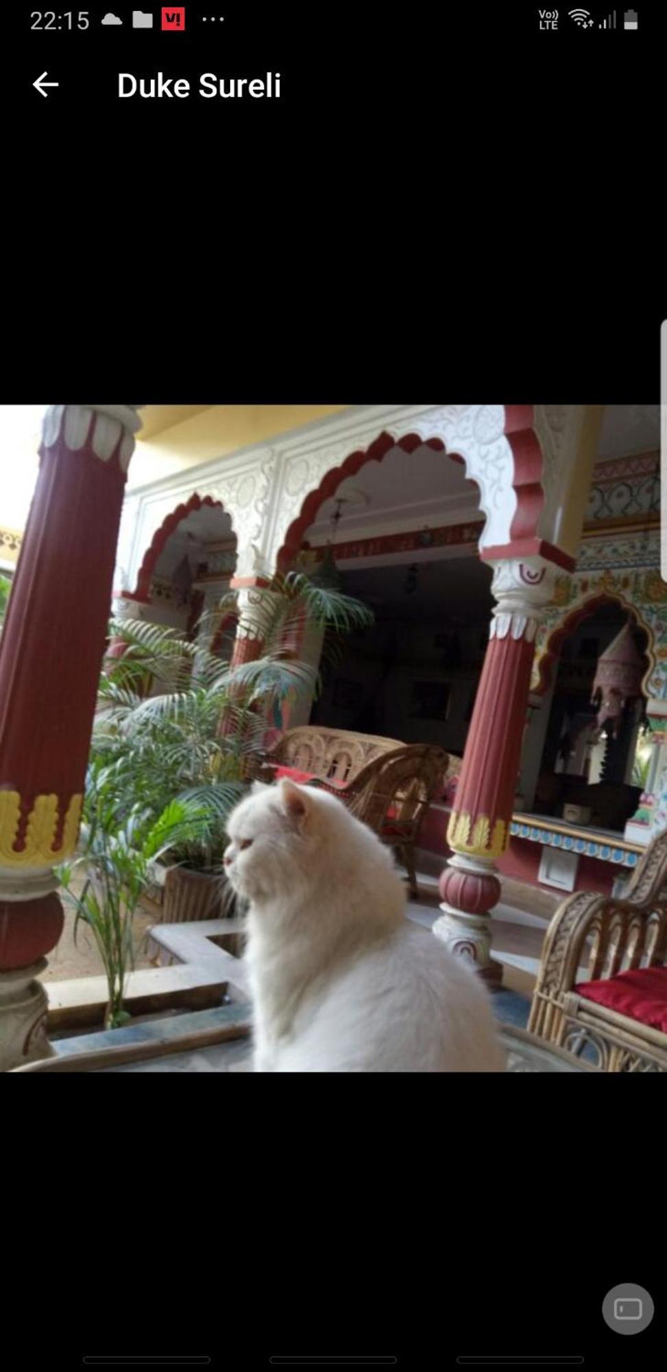 자이푸르 Sureli Haveli 아파트 객실 사진